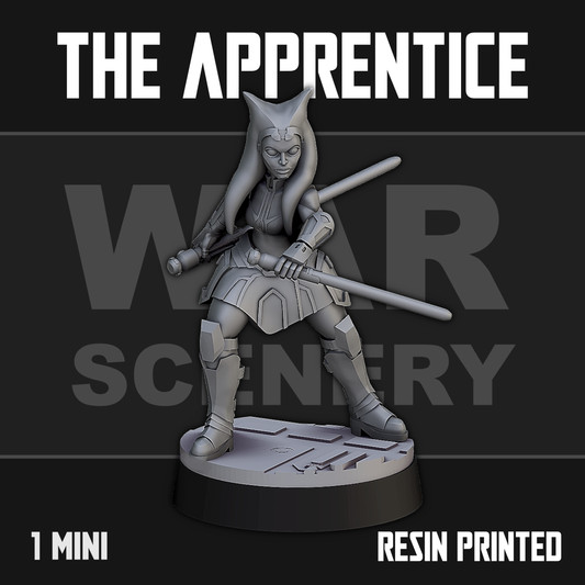 The Apprentice